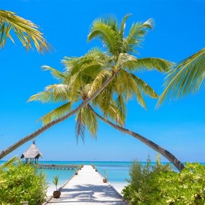 乐彩彩票welcomeapp下载