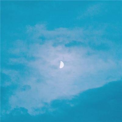 十大体育外围平台网址