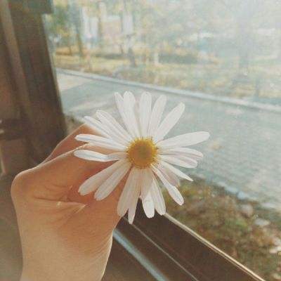 火狐电竞app下载