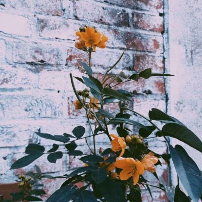 大发彩票官方官方平台app手机app下载截图