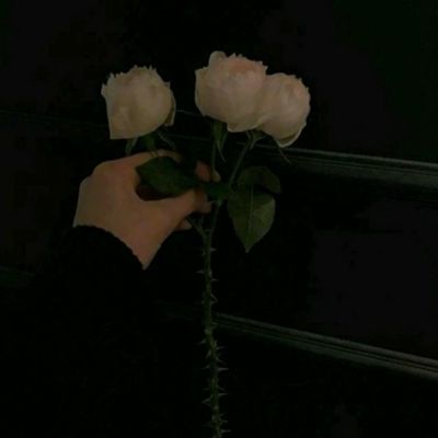 kaiyun·开云下载手机版